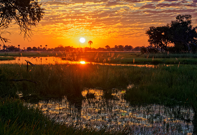 Sunrise in Botswana - Travel tips for Botswana 