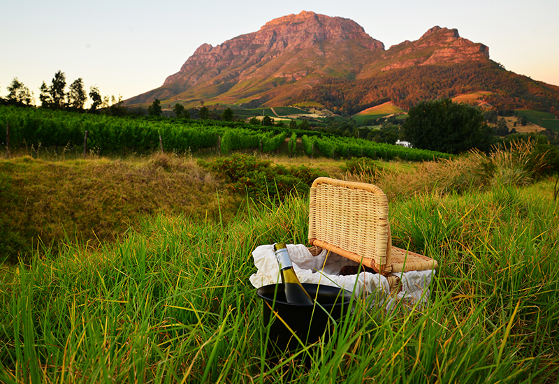 picnic in the Cape Winelands 
