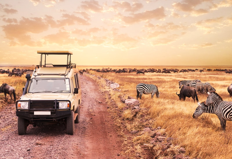 an open top land cruiser driving through a plain during great migration in East Africa