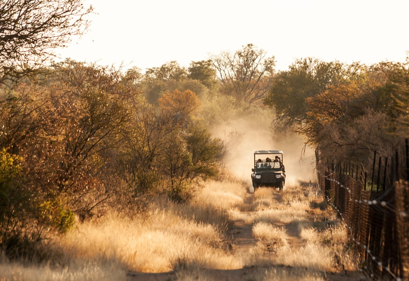 a vehicle on a southern africa safari drives along the fence line