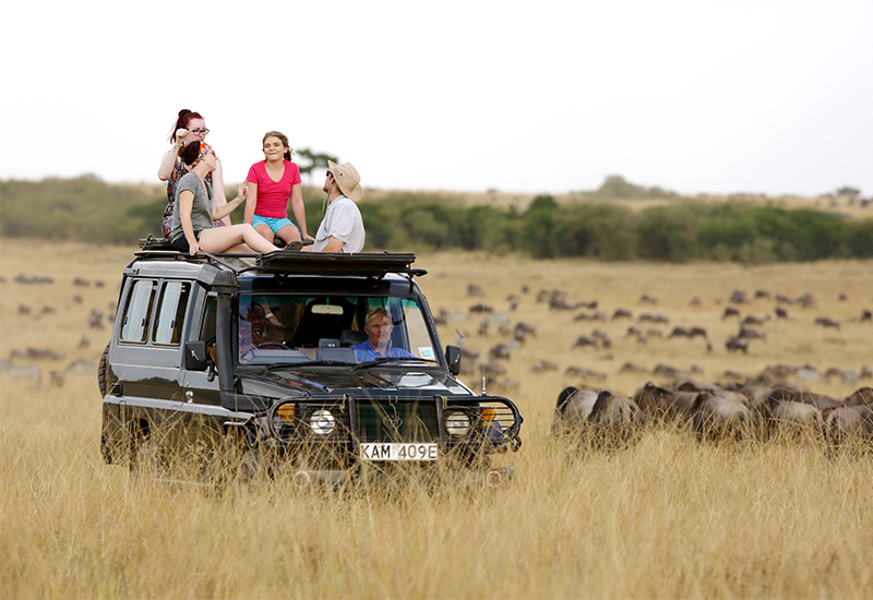 Guests on game drive in the Masai Mara during migration season