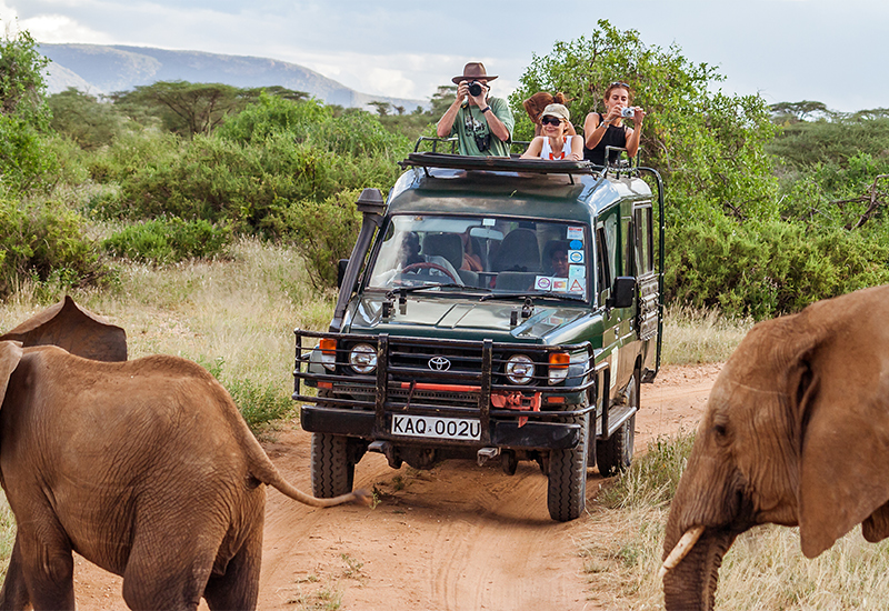tourists in 4x4 safari vehicle get up close to African elephants