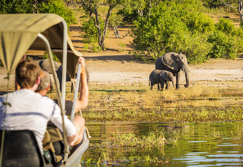 Boat safari with views of a mother and baby elephant