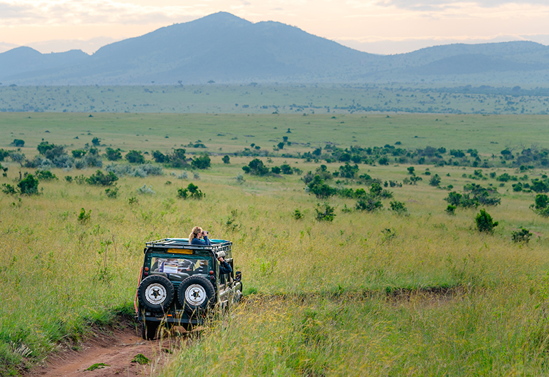 Game drive experience in the green season