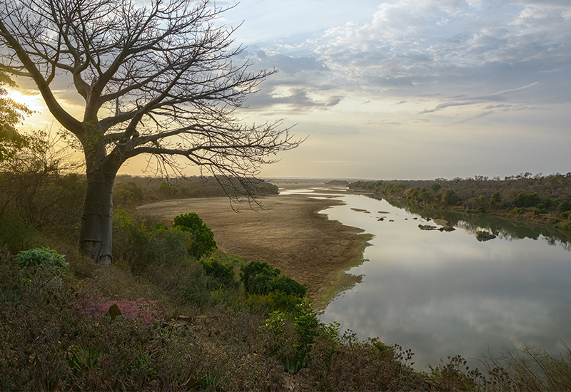 River running through Zambezi National Park 