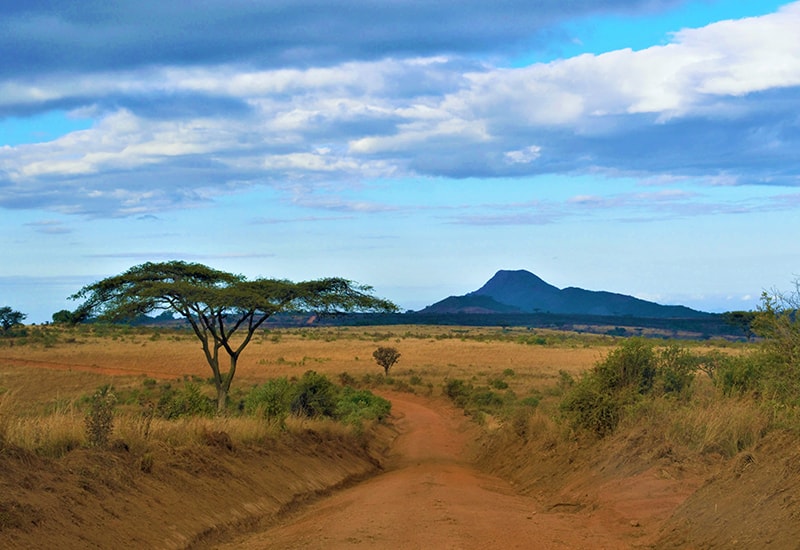 Going on a game drive in Malawi National Park - 2019 Travel trends