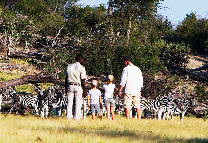 Family safari at Leroo La Tau - 2019 Travel Trends