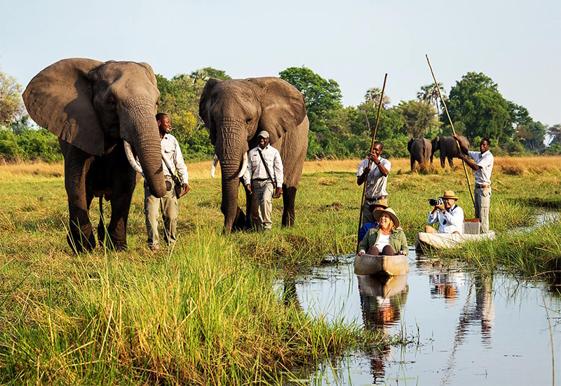 Elephant interaction and mokoro safari at Abu Camp - 2019 Travel Trends