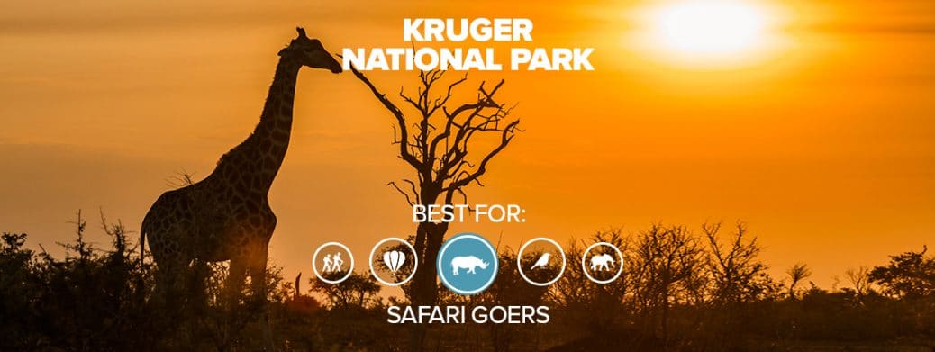 National Parks in South Africa - Kruger 