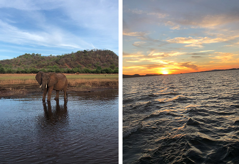 Safari in Zimbabwe - Elephant at Lake Kariba