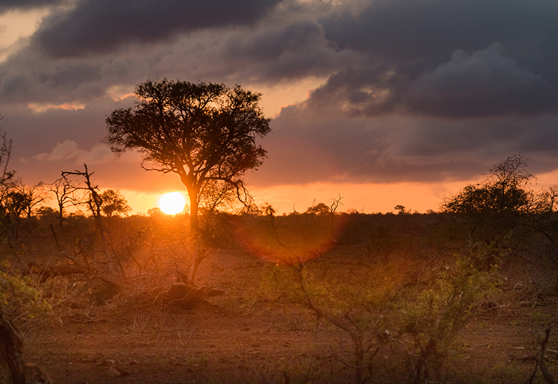 Sunset in the Kruger National Park 