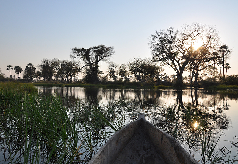 Mokoro trip in Okavango Delta - destinations to combine with Victoria Falls