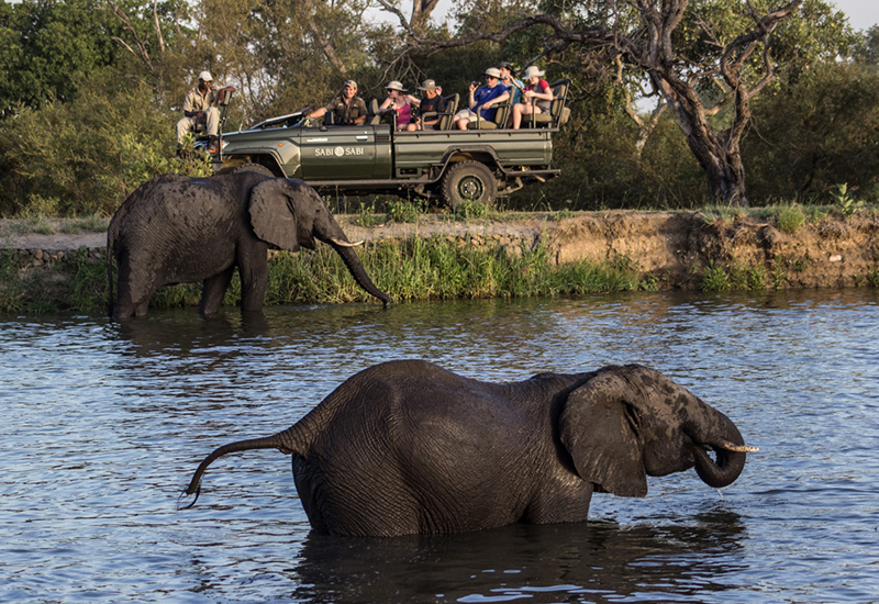 Elephants in Sabi Sabi Private Game Reserve on South Africa Safari Tours