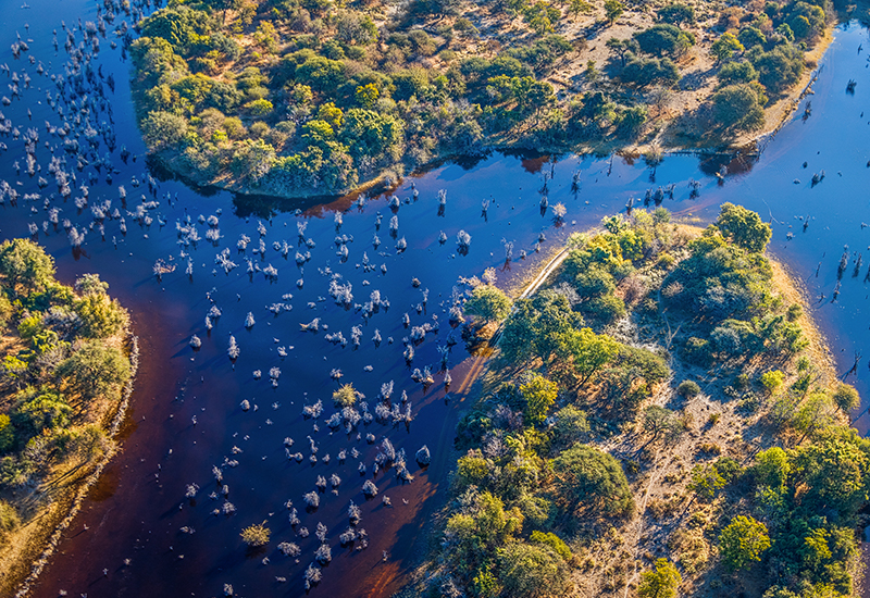aerial introduction to the okavango delta in botswana