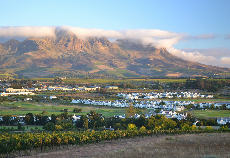 Wine Tasting in Stellenbosch Cape Town
