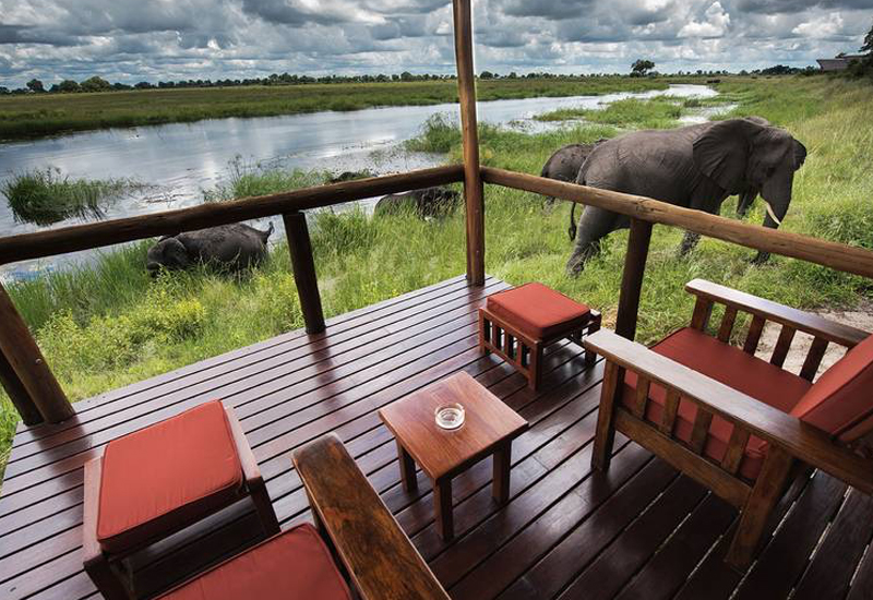 elephant grazing next to balcony African Safari Tours for Seniors