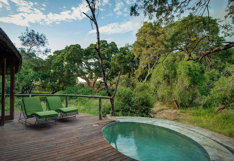 Tinstswalo Safari Lodge Private Plunge Pool