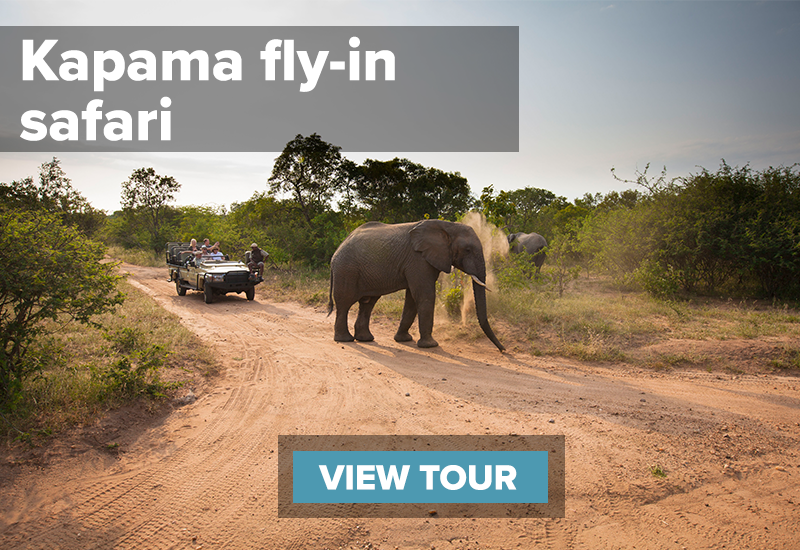 Kapama fly in safari