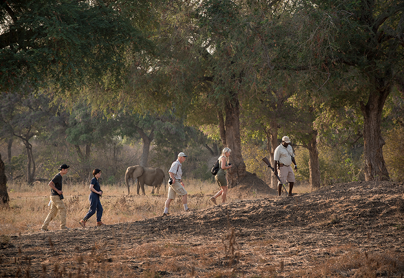 Walking Safari African Bush Camp