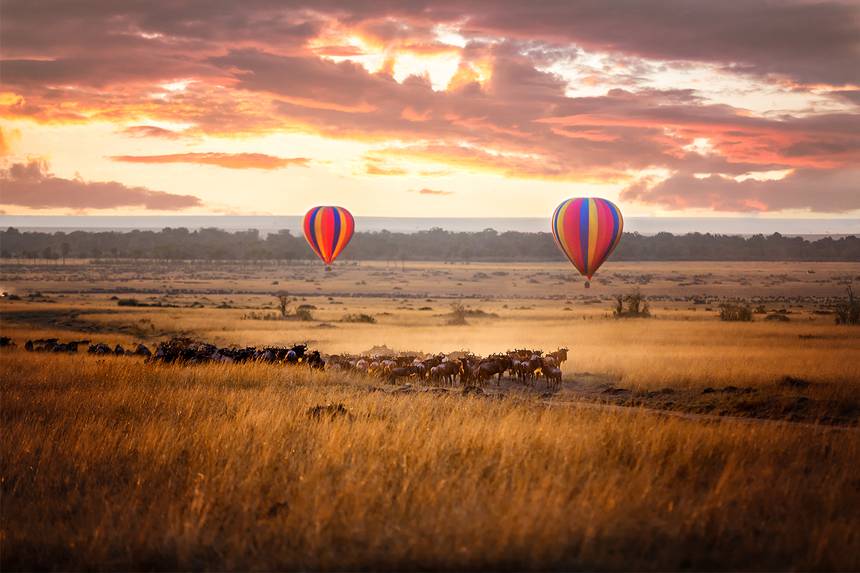 Serengeti | Southern African Safari Routes