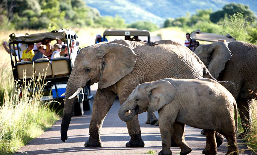 Pilansberg National Park | Southern African Safari Routes
