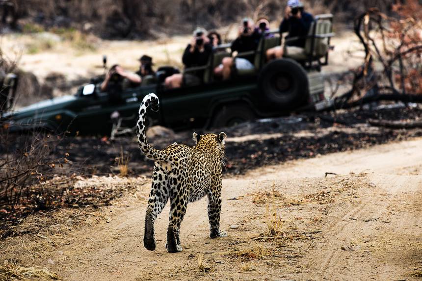 Kruger National Park | Southern African Safari Routes