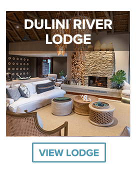 Dulini river lodge