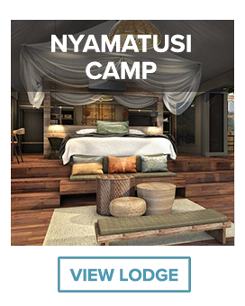 Nyamatusi camp main suite render