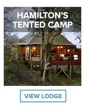 Hamiltons tented camp