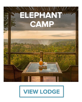 elephant camp view of victoria falls
