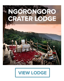 Ngorongoro crater lodge