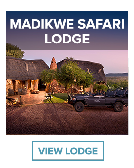 Madikwe safari lodge