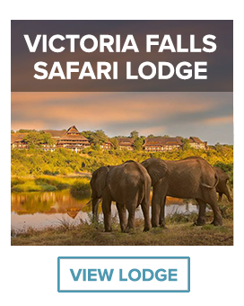 elephants by dam victoria falls safari lodge
