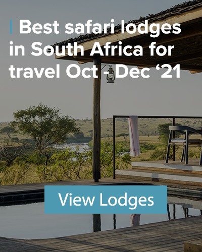 best safari lodges in south africa 2021