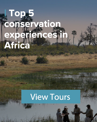 top 5 conservation experiences in africa