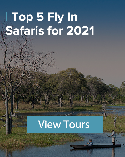 top 5 flyinsafaris 2021