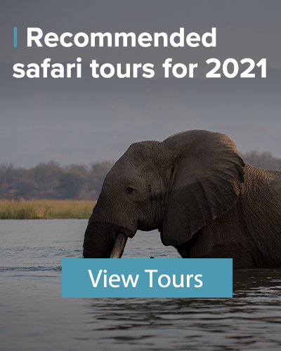 recommended safari tours for 2021