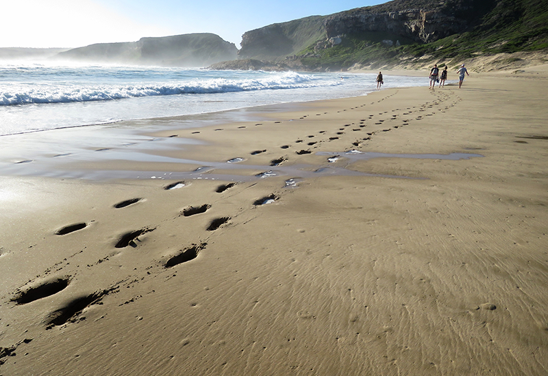 plettenberg bay beach with people walking along and footprints in the sand