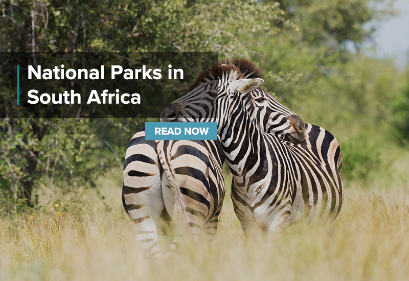 natonal parks in South Africa