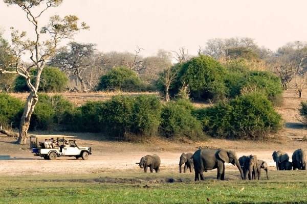 watching elephants in Kruger Park