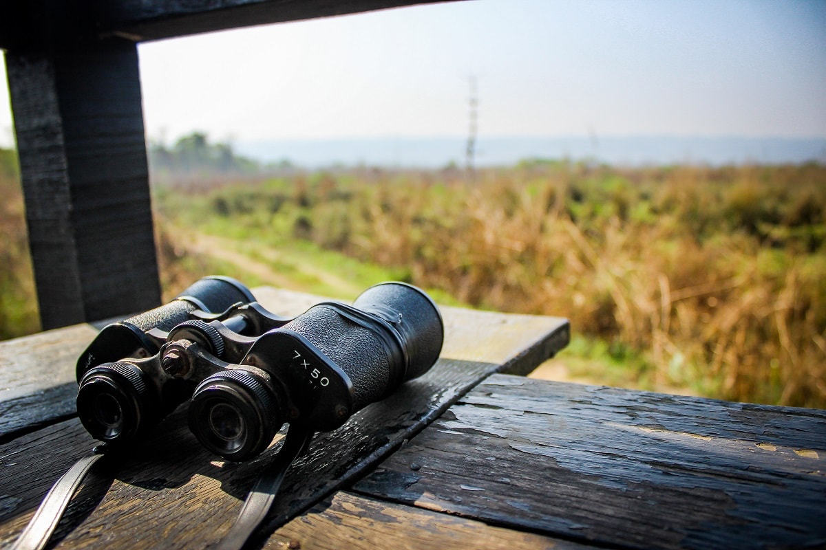 Safari Sight-Seeing with Binoculars