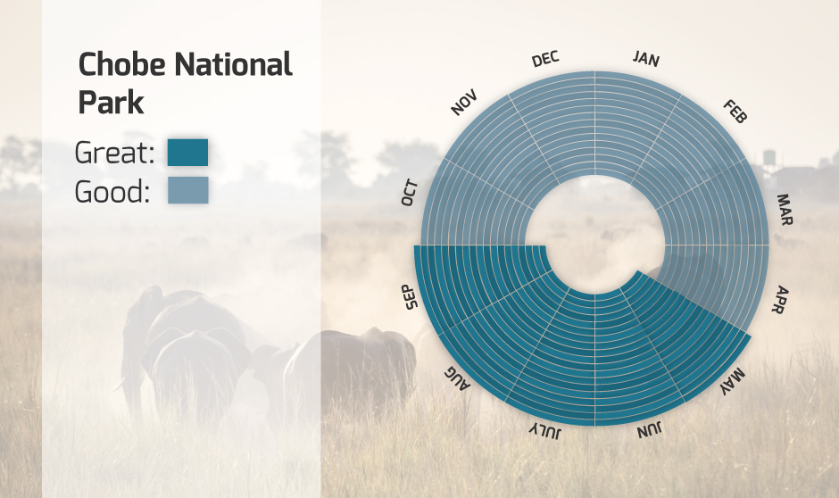 An infographic showing the best time to visit Chobe National Park