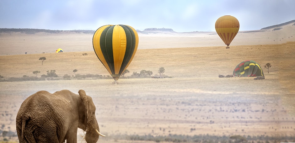Hot air balloons rise up over elephant in a field in Kenya