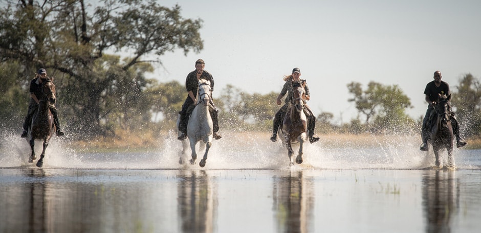 horseback safari goers canter through the waters of the Okavango Delta