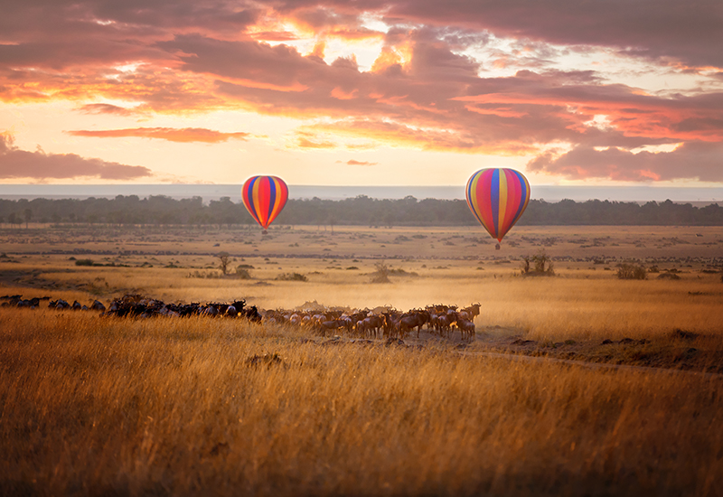 Hot air balloon safaris are possible in the Masai Mara which is part of the great migration path