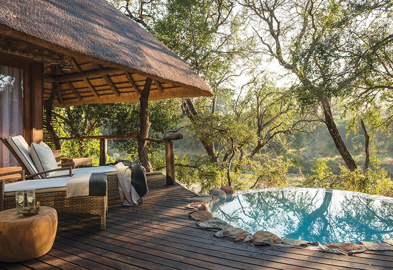 the deck and plunge pool at Dulini lodge in the Sabi Sabi reserve