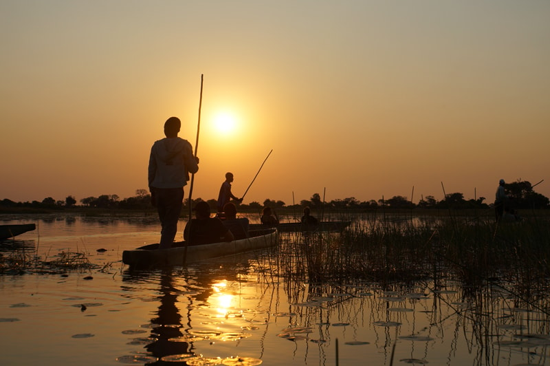 Mokoros gliding through the waterways of the Okavango Delta at sunset 