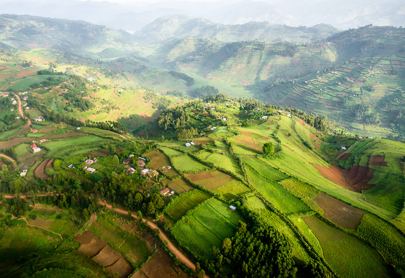 An aerial view of Uganda in the green season