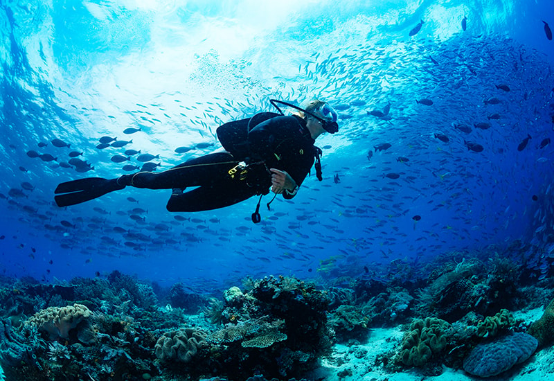 Diving in Zanzibar - 2019 Travel Trends