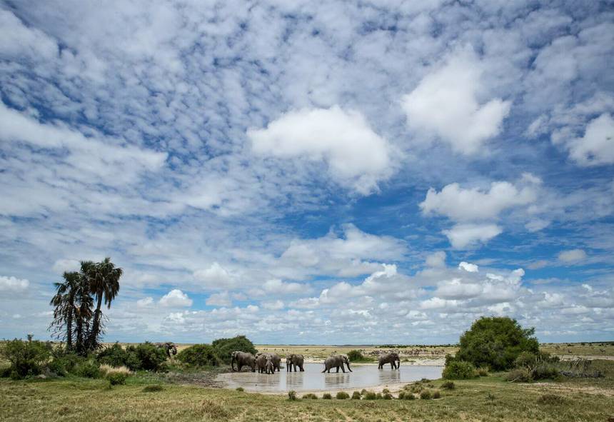 Makgadikgadi Pans | Southern African Safari Routes